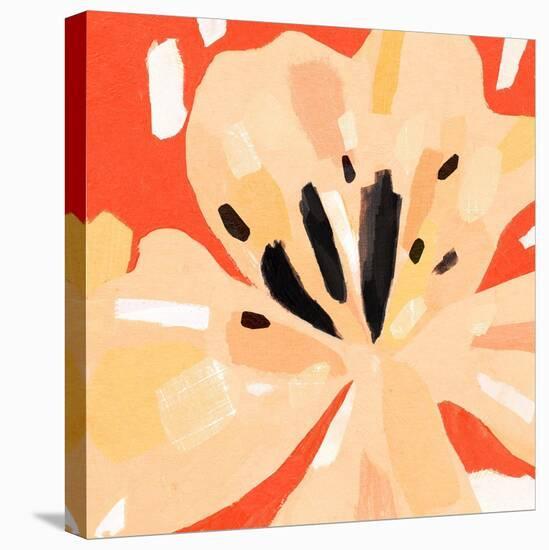 Boomin' Bloom II-Annie Warren-Stretched Canvas