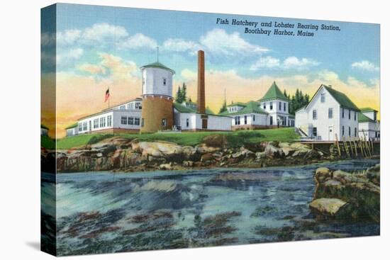 Boothbay Harbor, ME - View of a Fish Hatchery, Lobster Rearing Station-Lantern Press-Stretched Canvas