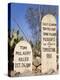 Boothill Graveyard, Tombstone, Cochise County, Arizona, United States of America, North America-Richard Cummins-Premier Image Canvas