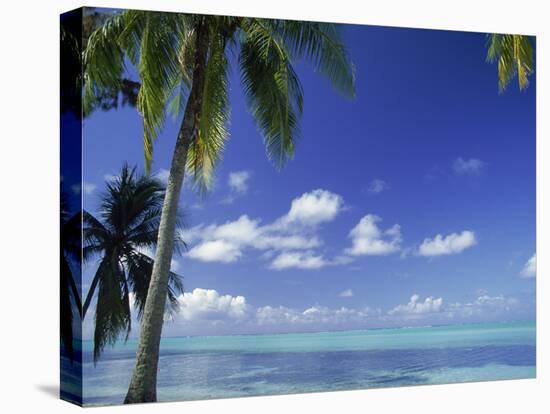 Bora Bora Island, French Polynesia So Pacific-Mitch Diamond-Premier Image Canvas