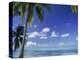 Bora Bora Island, French Polynesia So Pacific-Mitch Diamond-Premier Image Canvas