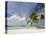 Bora-Bora, Leeward Group, Society Islands, French Polynesia Islands-Sergio Pitamitz-Premier Image Canvas