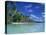 Bora Bora, Tahiti, Society Islands, French Polynesia, Pacific Islands, Pacific-Mawson Mark-Premier Image Canvas