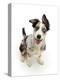 Border collie x Bearded collie puppy, aged 4 months-Mark Taylor-Premier Image Canvas