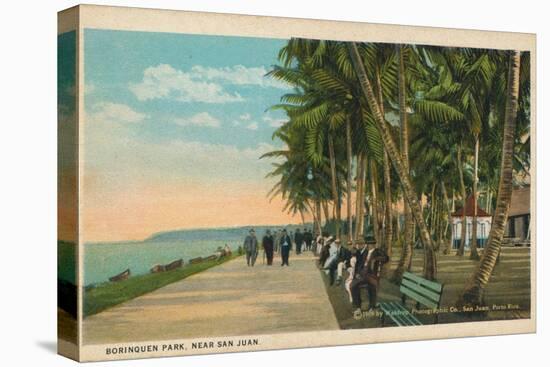 Borinquen Park, Near San Juan, 1909-null-Premier Image Canvas