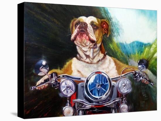 Born To Be Wild-Lucia Heffernan-Stretched Canvas