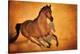 Born to Run-Barry Hart-Stretched Canvas