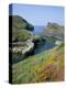 Boscastle Harbour, Boscastle, Cornwall, England, United Kingdom-Roy Rainford-Premier Image Canvas