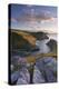 Boscastle Harbour from the Coast Path, Cornwall, England. Summer (August)-Adam Burton-Premier Image Canvas