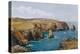 Boscastle, the Coast from Willapark P-Alfred Robert Quinton-Premier Image Canvas