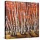 Bosco di betulle I-Adriano Galasso-Stretched Canvas