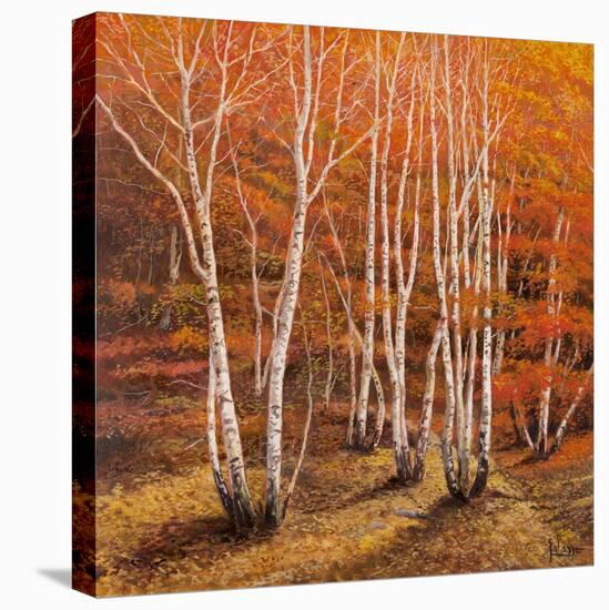 Bosco di betulle II-Adriano Galasso-Stretched Canvas