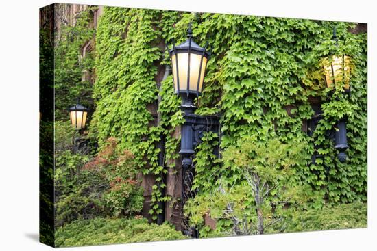 Boston, Massachusetts, USA. Street lamps with abundant foliage of historic buildings.-Brent Bergherm-Premier Image Canvas