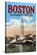 Boston Massachusetts-null-Stretched Canvas