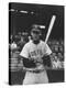 Boston Red Sox Player Ted Williams-Frank Scherschel-Premier Image Canvas