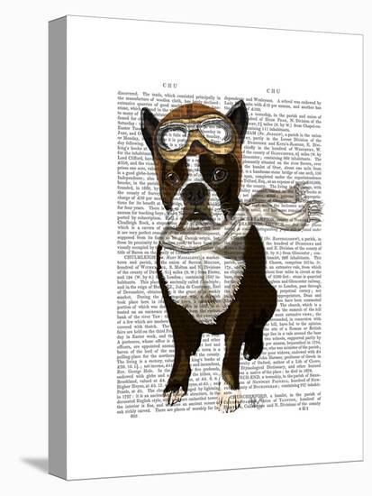 Boston Terrier Flying Ace-Fab Funky-Stretched Canvas