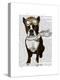 Boston Terrier Flying Ace-Fab Funky-Stretched Canvas