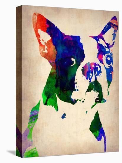 Boston Terrier Watercolor-NaxArt-Stretched Canvas