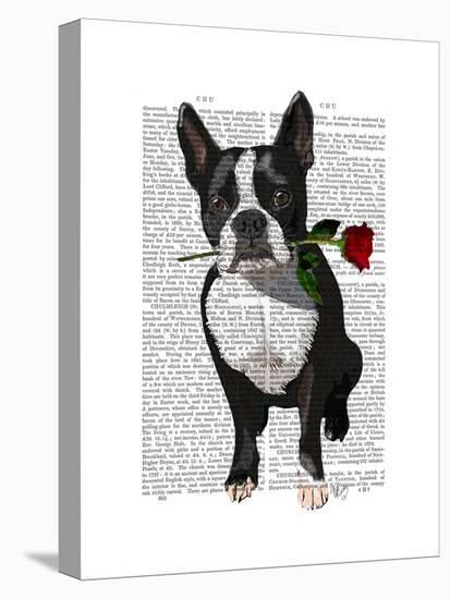 Boston Terrier with Rose in Mouth-Fab Funky-Stretched Canvas