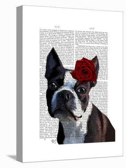 Boston Terrier with Rose on Head-Fab Funky-Stretched Canvas