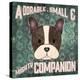 Boston Terrier-Ashley Sta Teresa-Stretched Canvas