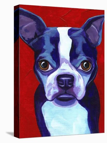 Boston Terrier-Corina St. Martin-Premier Image Canvas