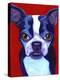 Boston Terrier-Corina St. Martin-Premier Image Canvas