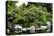 Botanic Garden-duallogic-Premier Image Canvas