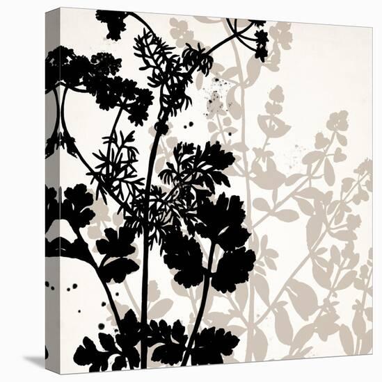 Botanical Black 1-Kimberly Allen-Stretched Canvas