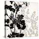 Botanical Black 1-Kimberly Allen-Stretched Canvas