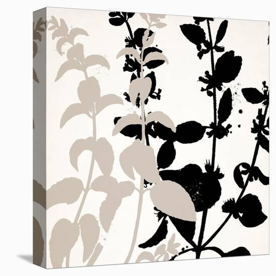 Botanical Black 2-Kimberly Allen-Stretched Canvas