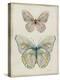 Botanical Butterflies I-Carol Robinson-Stretched Canvas