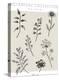 Botanical Collection - Meadow-Lucy Francis-Stretched Canvas