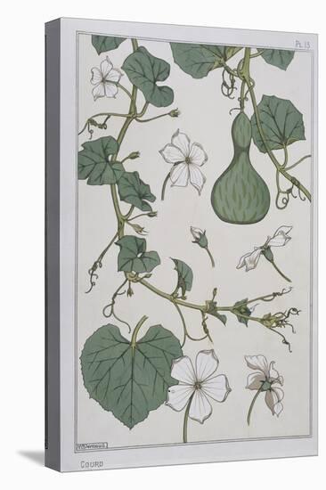 Botanical Diagram of a Gourd-Eugene Grasset-Premier Image Canvas