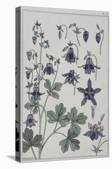 Botanical Diagram of Columbine-Eugene Grasset-Premier Image Canvas