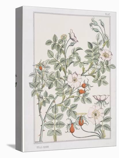 Botanical Diagram of Wild Rose-Eugene Grasset-Premier Image Canvas