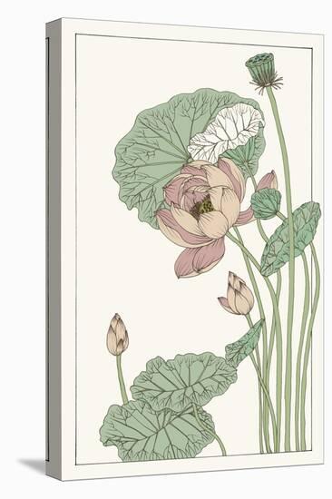 Botanical Gloriosa Lotus II-Melissa Wang-Stretched Canvas