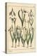 Botanical Illustration of a Snowdrop, Galanthus Nivalis, 1897 (Lithograph)-Eugene Grasset-Premier Image Canvas