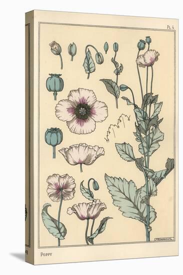 Botanical Illustration of the Poppy, with Flower Parts, Opium Pod, 1897 (Lithograph)-Eugene Grasset-Premier Image Canvas