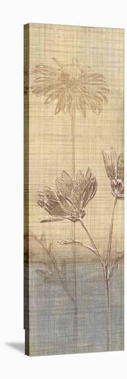 Botanical Sketchbook III-Tandi Venter-Stretched Canvas