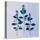 Botanical Study IV Blue-Julia Purinton-Stretched Canvas