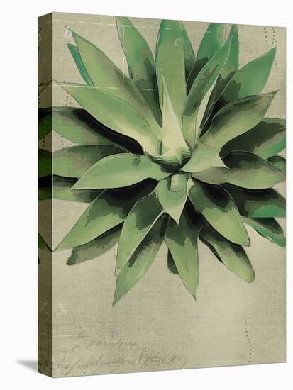 Botanical Study-The Vintage Collection-Stretched Canvas