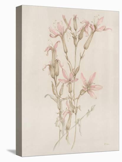 Botanicals I-Rikki Drotar-Premier Image Canvas