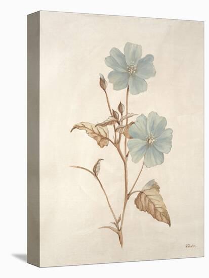 Botanicals Series Blue I-Rikki Drotar-Premier Image Canvas