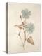 Botanicals Series Blue I-Rikki Drotar-Premier Image Canvas