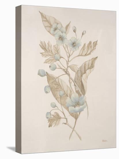 Botanicals Series Blue IV-Rikki Drotar-Premier Image Canvas