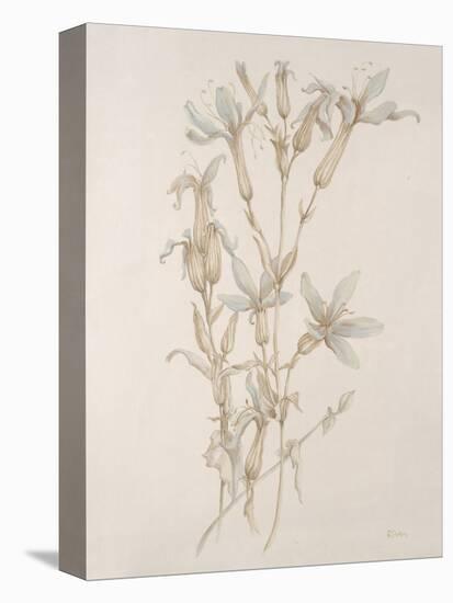 Botanicals Series Blue V-Rikki Drotar-Premier Image Canvas