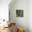 Botanicals VIII-Tony Koukos-Stretched Canvas displayed on a wall
