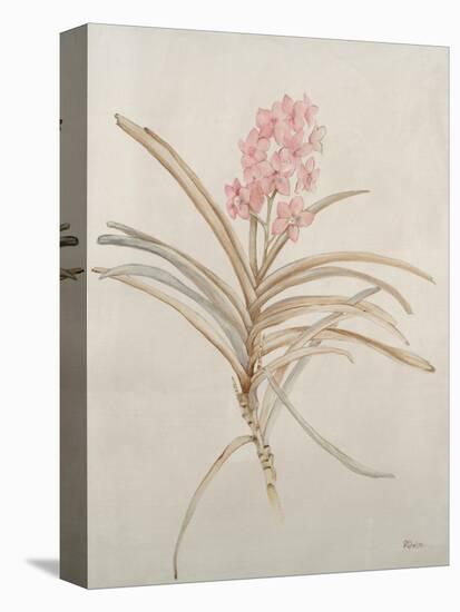 Botanicals X-Rikki Drotar-Premier Image Canvas