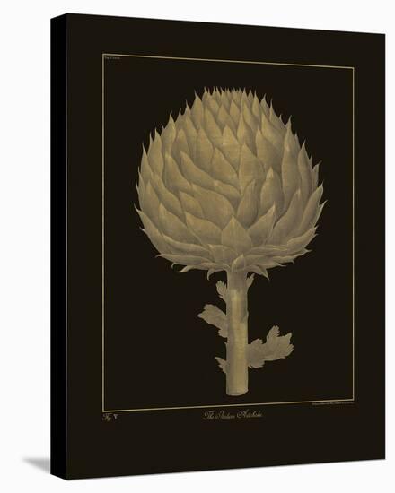 Botanicus - Italian Artichoke-Maria Mendez-Stretched Canvas